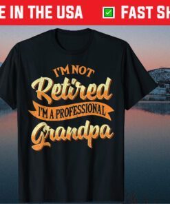 I'm Not Retired I'm A Professional Grandpa Fathers Day Us 2021 T-Shirt