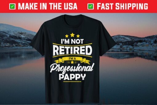 I'm Not Retired I'm A Professional Pappy Fathers Day Us 2021 T-Shirt