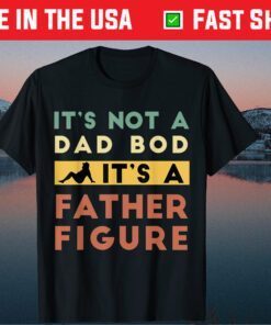 It's Not A Dad Bod It's A Father Figure Father Retro Vintage Classic T-Shirt