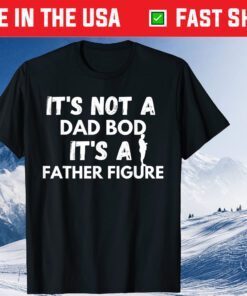 Its Not a Dad Bod its a Father Figure Fathers Day T-Shirt