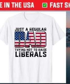 Just A Regular Dad Trying Not To Raise Liberals Father's Day Classic T-Shirt