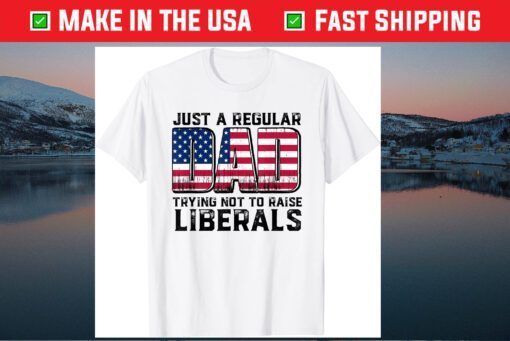 Just A Regular Dad Trying Not To Raise Liberals Father's Day Classic T-Shirt