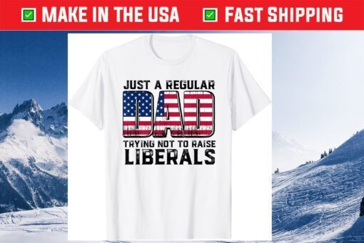 Just A Regular Dad Trying Not To Raise Liberals Father's Day Classic T-Shirt