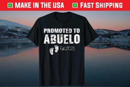 Promoted To Abuelo Est 2021 Fathers Day Classic T-Shirt