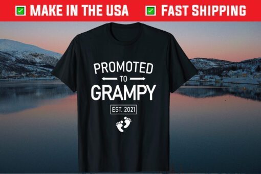 Promoted To Grampy Est 2021 New Grandpa Father's Day Gift T-Shirt