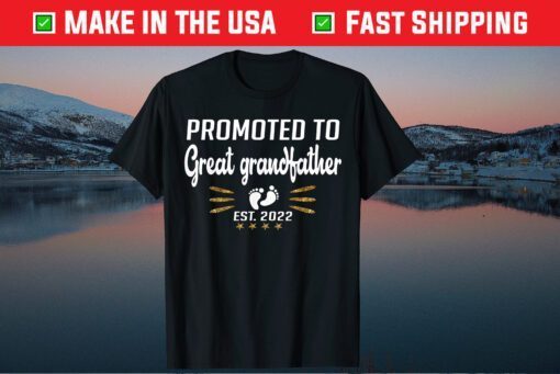 Promoted To Great Grandpa est 2022 Father's Day Us 2021 T-Shirt