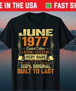 44th Birthday Born In June 1977 Vintage Retro 44 Years Old Gift T-Shirt