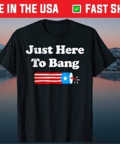 4th Of July 2021 Just Here To Bang Us 2021 T-Shirt