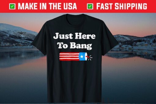 4th Of July 2021 Just Here To Bang Us 2021 T-Shirt