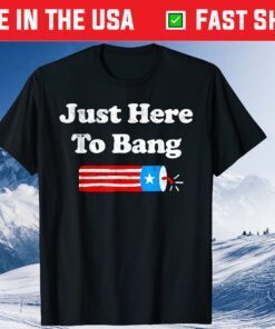 4th Of July 2021 Just Here To Bang Us 2021 T-Shirt