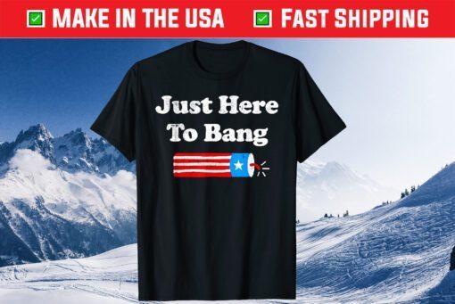 4th Of July 2021 Just Here To Bang Us 2021 T-Shirt