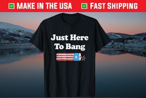 Fourth of July 4th of July I'm Just Here To Bang Classic T-Shirt