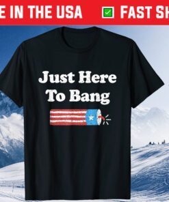 Fourth of July 4th of July I'm Just Here To Bang Classic T-Shirt