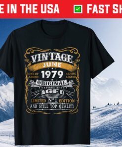 Vintage June 1979 42 Years 42nd Birthday Classic T-Shirt