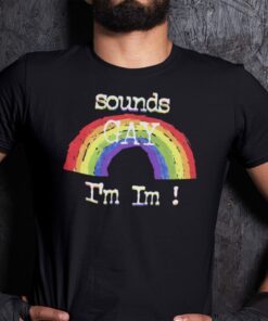 Sounds Gay I’m In LGBT Tee Shirt