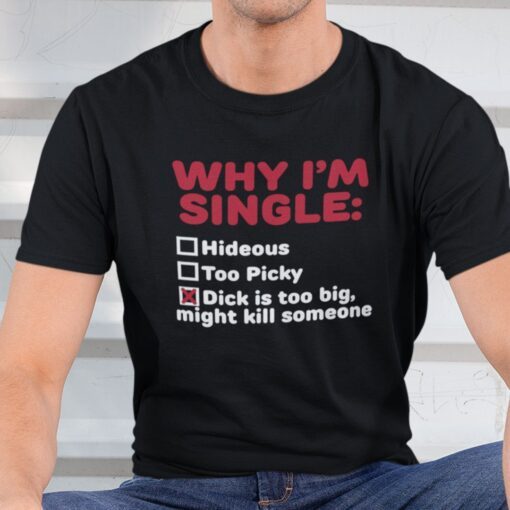 Why I’m Single Hideous Too Picky Dick Is Too Big Tee Shirt