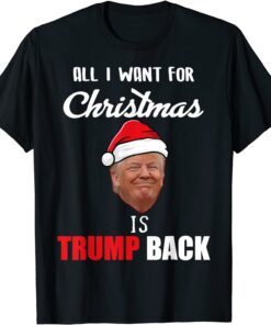 All I Want for Christmas Is Donald Trump Back and New President Tee Shirt