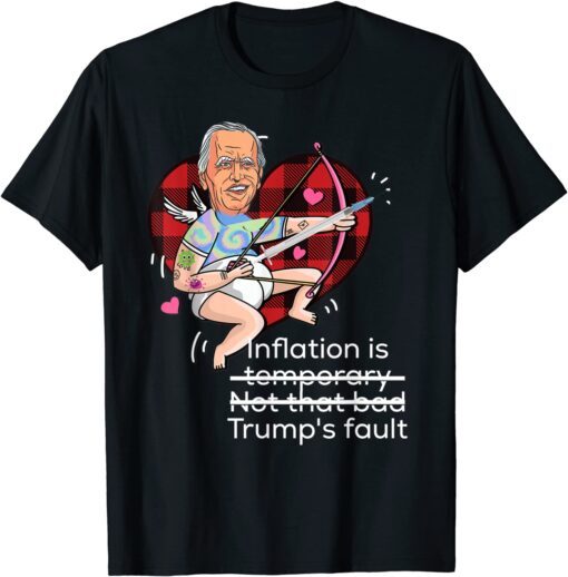 Biden Lied Trump Fault Anti Liberal Anti-Biden Anti Biden T-Shirt