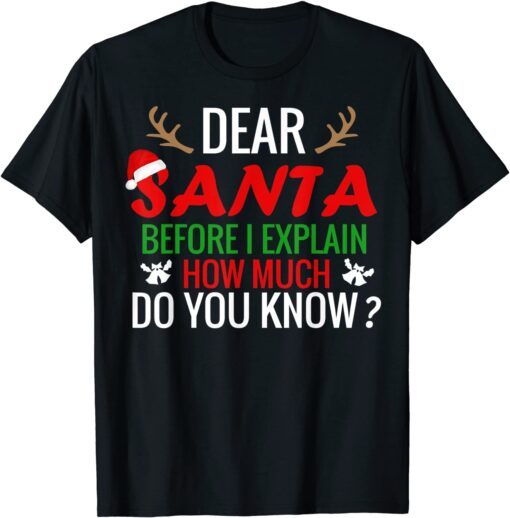 Dear Santa, Before I Explain Christmas Matching Family Tee Shirt