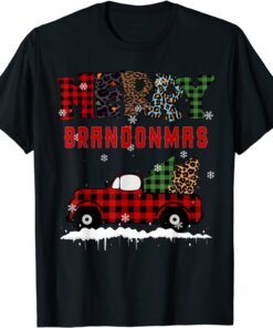 Merry Brandonmas Brandon Christmas Anti Joe Biden Xmas Tee Shirt