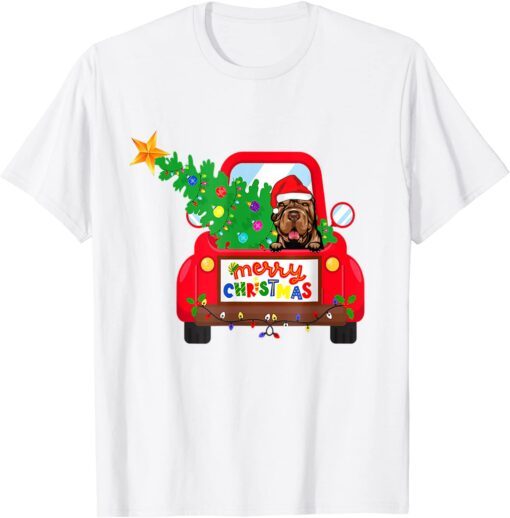 Shar Pei Dog Riding Red Truck Christmas Pajama Tee Shirt