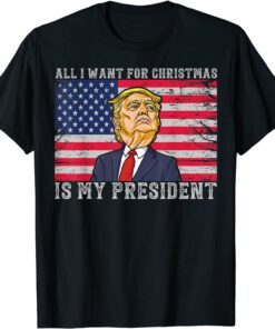 All I Want For Christmas Is A New President Xmas Trump US Tee Shirt