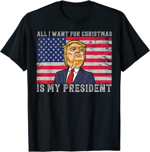 All I Want For Christmas Is A New President Xmas Trump US Tee Shirt