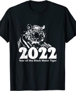 Happy Chinese New Year Clothing 2022 Year of the Lunar Tiger Tee Shirt