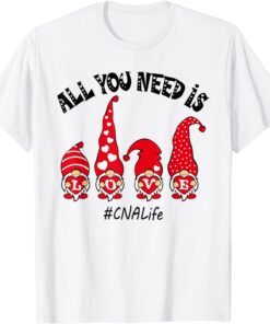 All You Need Is Love CNA Life Gnome Valentine's Day Tee Shirt