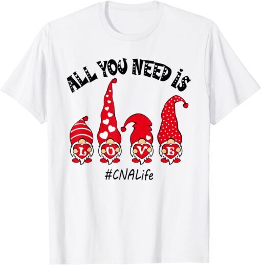 All You Need Is Love CNA Life Gnome Valentine's Day Tee Shirt