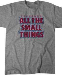 All the Small Things Tee Shirt