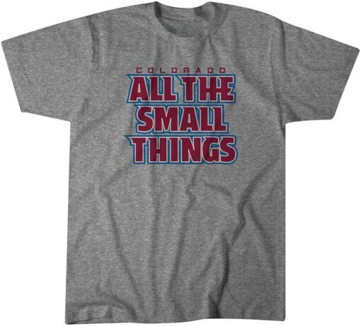 All the Small Things Tee Shirt