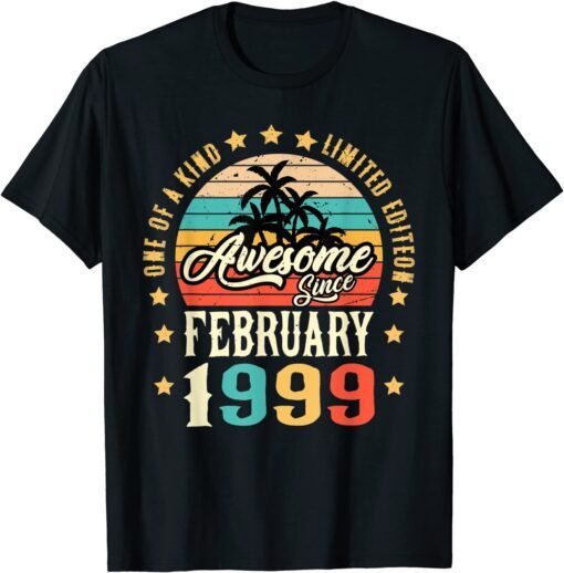 Awesome Since February 1999 Vintage 23rd Birthday Tee Shirt