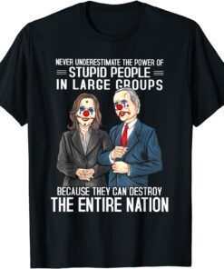 Biden Clown Because They Can Destroy The Entire Nation Tee Shirt