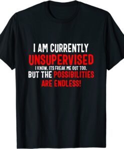 I Am Currently Unsupervised Valentines Day Tee Shirt