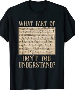 What Part Of The Music Notes You Don't Understand Musician Tee Shirt