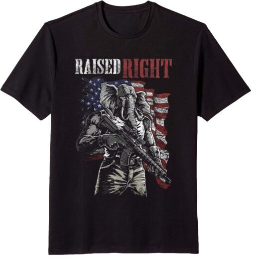 raised right Usa Flag Tee Shirt