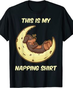 Dog Moon Cartoon Napping Sleep Pajama Sleepwear Nightie Gift T-Shirt