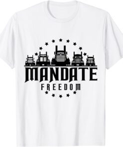 I Stand With Ukraine Vintage Ukraine Flag T-Shirt