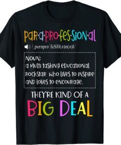 Para Professional Elementary School Lesson Teachers T-Shirt