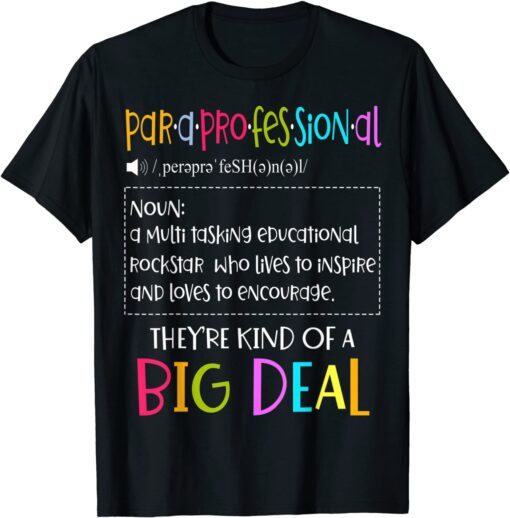 Para Professional Elementary School Lesson Teachers T-Shirt