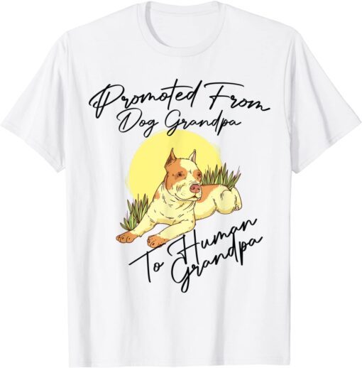 Promoted From Dog Grandpa To Human Grandpa Dogs Owner Tee Shirt