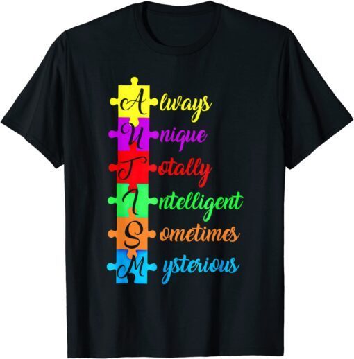 Autism Acronym And Puzzle Piece Fun Autism Awareness Tee Shirt