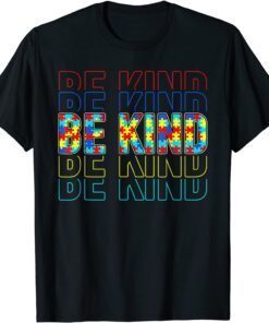 Be Kind Autism Awareness Special Education Autism Teacher Tee Shirt