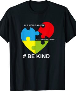 Be Kind In A World Where You Can Be Anything Tee Shirt