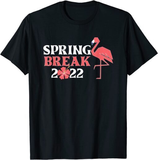 Cool Spring Break 2022 Florida Flamingo Family matching Tee Shirt