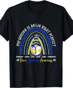Gnome Rainbow Godson Is Down Right Perfect T21 Tee Shirt