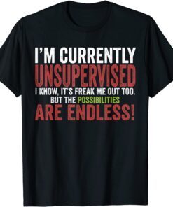 I Am Currently Unsupervised Tee Shirt