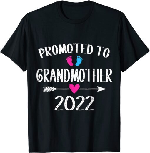 Promoted To Grandmother Gender Reveal Family Tee Shirt