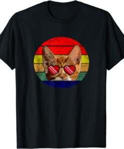 Retro Vintage My Cat Introverted But Willing To Discuss Cats Tee Shirt